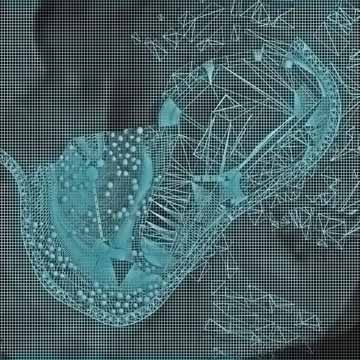 Slide Show - Esperienze